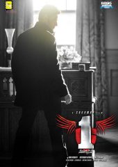 1 – Nenokkadine