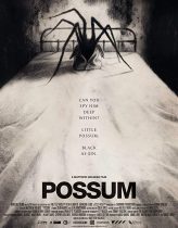 Possum