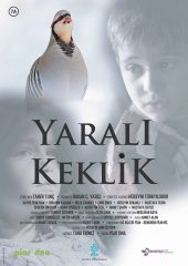 Yaralı Keklik